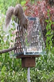 I'm one of those people who wear binoculars, and a funny hat, that you see in parks with necks bent to the sky, watching birds. Best Squirrel Proof Nut Feeder Uk Pestcare Jakarta