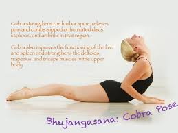 Bikram Yoga Sacramento Bikram Yoga Poses Bikram Yoga Poses Cobra Pose Yoga Cobra Pose