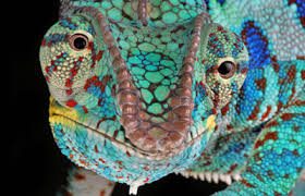 Resultado de imagem para fotos de paisagens premiadas