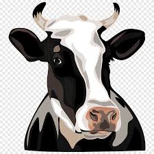 The holstein association offers dairy cattle identification, genetic evaluation, type evaluation, mating programs and inbreeding management programs to improve dairy herd management. Black White And Brown Cow Illustration Holstein Friesian Cattle Cow Head Painted Animals Png Pngegg