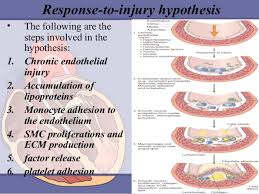 Atherosclerosis Ppt