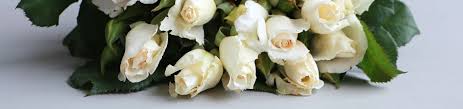 Plastic ( real touch material) flower quantity : Wholesale Flowers Trade Flowers The Real Flower Company