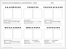 animal classification chart 2 studyladder interactive