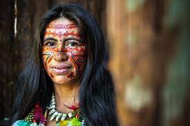 Indigenous peoples inhabit a large portion of the amazon rainforest and their traditional and cultural beliefs have existed for centuries, providing storage for an immense amount of knowledge about the tropical amazon. Indigenous People Of The Amazon Rainforest Culture Life