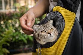 The giantex' version of the kitty space capsule surely won't run short of space. The 25 Best Cat Backpacks Of 2020 Cat Life Today