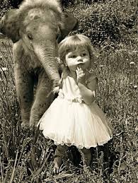 One Morning I Shot An Elephant In My Pajamas Movie Novelicious On Twitter Elephant Love Elephant Beautiful Children