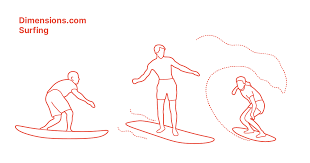 Check spelling or type a new query. Surfing Dimensions Drawings Dimensions Com
