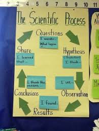 96 best science anchor charts images science anchor charts