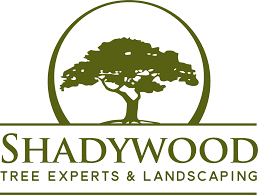 Northern virginia tree experts mekanında fotoğrafları, tavsiyeleri, benzeri mekanları, kampanyaları ve daha fazlasını gör. Shadywood Tree Experts And Landscaping