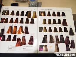 Loreal Inoa Supreme Color Chart Buy Loreal Inoa Supreme Age Goldwell Color Chart Hair Color Chart Brown Hair Color Chart