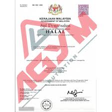 Memeluk agama islam di malaysia. Health Beauty Health Health Food Supplements Sports Nutrition Creatine Monohydrate By Agym Nutrition 300gram 60 Servings Eromman Com Online Shopping In Dubai Abu Dhabi Uae Ksa Kuwait Egypt