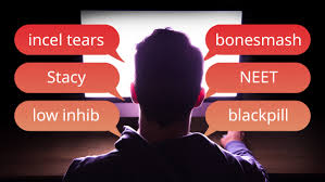 This incident, in 2014, brought the term 'incel' to international attention. Learn To Decode The Secret Language Of The Incel Subculture