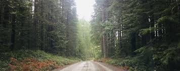 Samantha had he last choir concert on 5/22/19. What Aloneness Looks Like Solo Winter Car Camping By Campbell River Samantha Bangayan