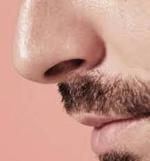 Boogers often contain bacteria and viruses, and although nose picking is a common habit that does not usually cause health problems, eating boogers also, excessive nose picking can cause bleeding and inflammation in the nose. I Have Hard Thin Boogers That Are On The Middle Of My Nose Wall Why Does This Happen And How Can I Get Rid Of It Quora