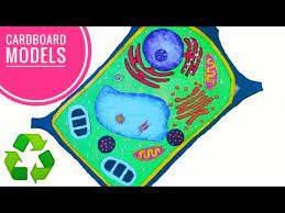 Check spelling or type a new query. Easy Plant Cell Model Project Step By Step Youtube