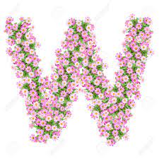 Find letter w stock photos and editorial news pictures from getty images. Letter W Alphabet With Zinnia Flower Abc Concept Type As Logo Typography Design Stock Photo Picture And Royalty Free Image Image 40321165
