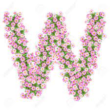 Ariel skelley / getty images an alphabet is made up of the letters of a language, arranged. Letter W Alphabet With Zinnia Flower Abc Concept Type As Logo Typography Design Stock Photo Picture And Royalty Free Image Image 40321165