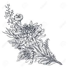 Explore cool colorful mum ink ideas and inspiration. Vector Bouquet Of Hand Drawn Chrysanthemum Flowers Chrysanthemum Tattoo Crysanthemum Tattoo Chrysanthemum Flower