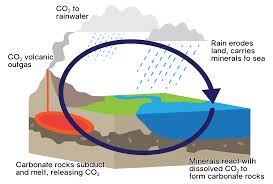 The Geological Carbon Cycle Carbon Dioxide Released By Volcanoes Is Dissolved Into Water In The Air Which Rains Down And R Carbon Cycle Plate Tectonics Rains