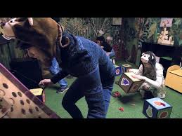 Live online escape room the escape game (21) $10 $8. Brisbane S Top Rated Escape Room Experience Puzzled Room Escape