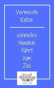 vermisste katze katzen vermisse dich abc