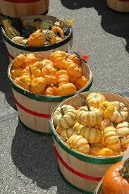 The name is most commonly used for cultivars of cucurbita pepo, but some cultivars of cucurbita maxima. Best Scenic Day Trips Wisconsin Fall Foliage Washington House Inn