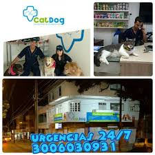 Centro Veterinario Cat's Dog