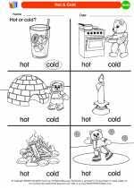 Children practice classifying nine items by cutting them out and placing them in the correct box. Sort Classify And Order Objects Mathematics Worksheets And Study Guides Kindergarten