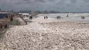 On the atlantic coast of argentina in the province of buenos aires, one can find some of the most beautiful untouched beaches, dunes, forests, and small settlements imaginable. Argentina Strange Phenomenon Of Sea Foam Carpets Mar Del Plata Beaches Video Ruptly