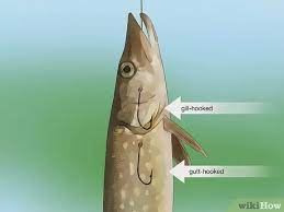 How To Hold A Fish: 13 Steps (With Pictures) - Wikihow