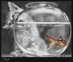 Temptation In The Fish Bowl By Snow Owl On Deviantart Fish Drawings Drawn Fish Snow Owl