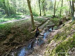 Aber verlass dich nicht allein auf unsere meinung. Ahrtal Wandern Auf Dem Ahrsteig Erfahrungsbericht