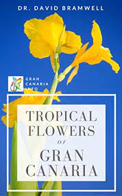 The principal regions with a tropical climate are the amazon basin in brazil, the congo basin in west africa exotic tropicals. Tropical Flowers Of Gran Canaria Guide To The Tropical And Exotic Flowers And Plants Of Gran Canaria S Gardens And Parks 1 Bramwell David Amazon Com