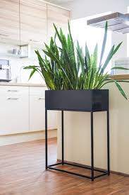 Decorative Box Plants Box Powder Sheet Steel Style Black Matt Black Deco Black Box Deco Dec In 2020 Home Decor House Interior Decor Home Decor Furniture
