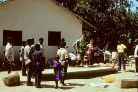 Image result for Gilbertiodendron dewevrei