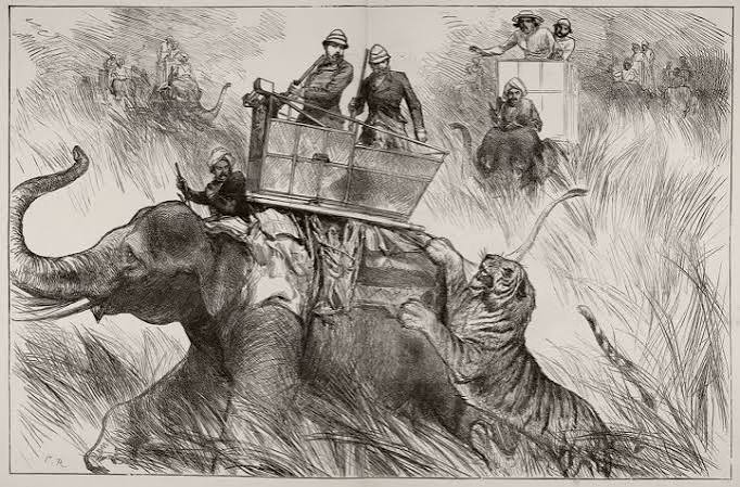 Louis Bromfield and the Tiger Rug – Richland County History
