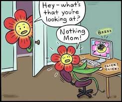 Plant cells, or the cells that make up plants, are shaped like squares. Plant Cell Jokes