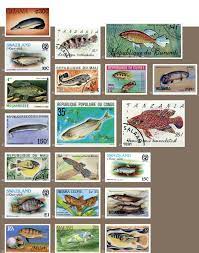 We did not find results for: Poissons D Afrique Et Peuples De L Eau Un Inventaire Des Especes Encore Inacheve Ird Editions
