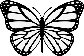 Check spelling or type a new query. Hasil Gambar Untuk Gambar Kupu Kupu Hitam Putih Butterfly Clip Art Butterfly Outline Monarch Butterflies Art