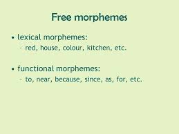 We did not find results for: English Morphology Ppt Video Online Download