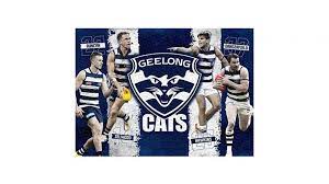 Check spelling or type a new query. Buy Afl Geelong Cats 4 Player 1 000 Piece Jigsaw Puzzle Harvey Norman Au