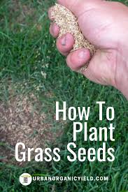 Can you seed an existing lawn. Guide On The Best Time To Plant Grass Seeds On Your Lawn Planting Grass Plant Grass Seed Plant Grass