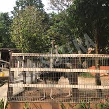 Villa sugeh terlajak laris dato alif syukri terletak di jalan melawati, kuang, sungai buloh, selangor. Bercuti Di Villa Terlajak Laris