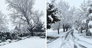 Jun 18, 2021 · the city of orange brass band will join forces with two big choirs and a pianist to provide an afternoon of musical entertainment at the winter notes concert. Icymi Orange In Nsw Just Had Its Heaviest Snowfall In 30 Years And The Photos Don T Even Look Real