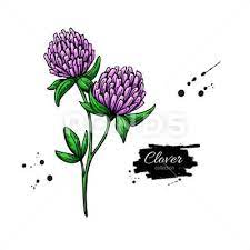 Pin On Design Display Ideas Home Decor
