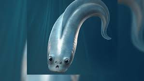 Myllokunmingids, Some Of The Earliest Known Vertebrates, Had 4 Functioning  Eyes | IFLScience