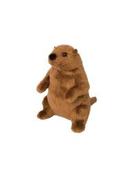 Mr G Groundhog Plush Stuffed Animal With Free Shipping Etsy Plush Stuffed Animals Animals Dinosaur Stuffed Animal