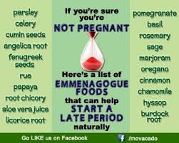 Late Period Backpain Natural Health Care Aloe Vera Juice Period Remedies