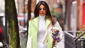 Check spelling or type a new query. Comment Bien Choisir Ses Lunettes De Vue Et Ses Lunettes Solaires Voici