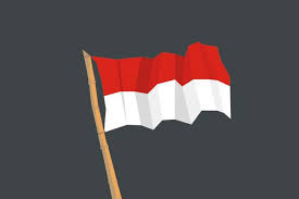 Hasil gambar untuk paskibraka